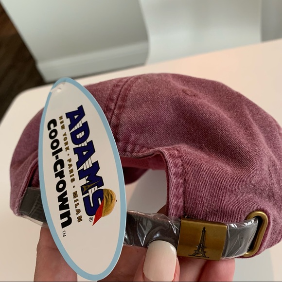 🆕 Illinois State Uni. Kappa Alpha Epsilon Cap - Picture 3 of 6